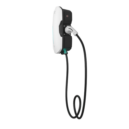 Remove bg.ai 1726674626862