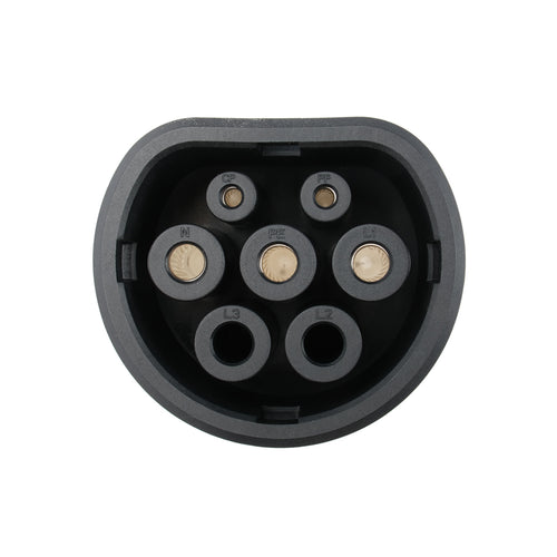 Connettore Elvix T1-T2 dagli USA all'Europa