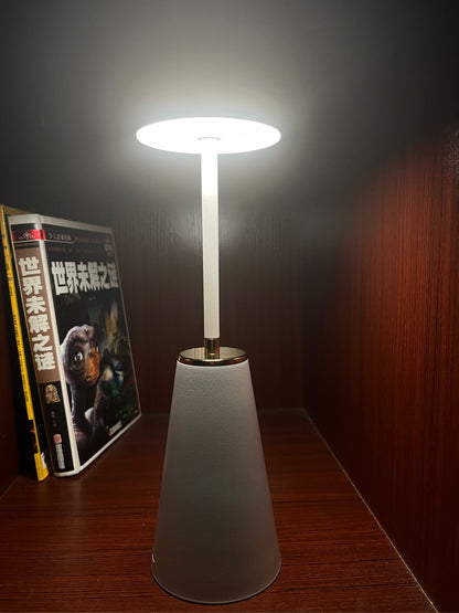 table lamp (6)