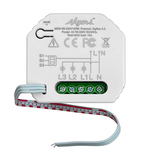 Smart Light Switch MSW-3B-220V/100W ZB
